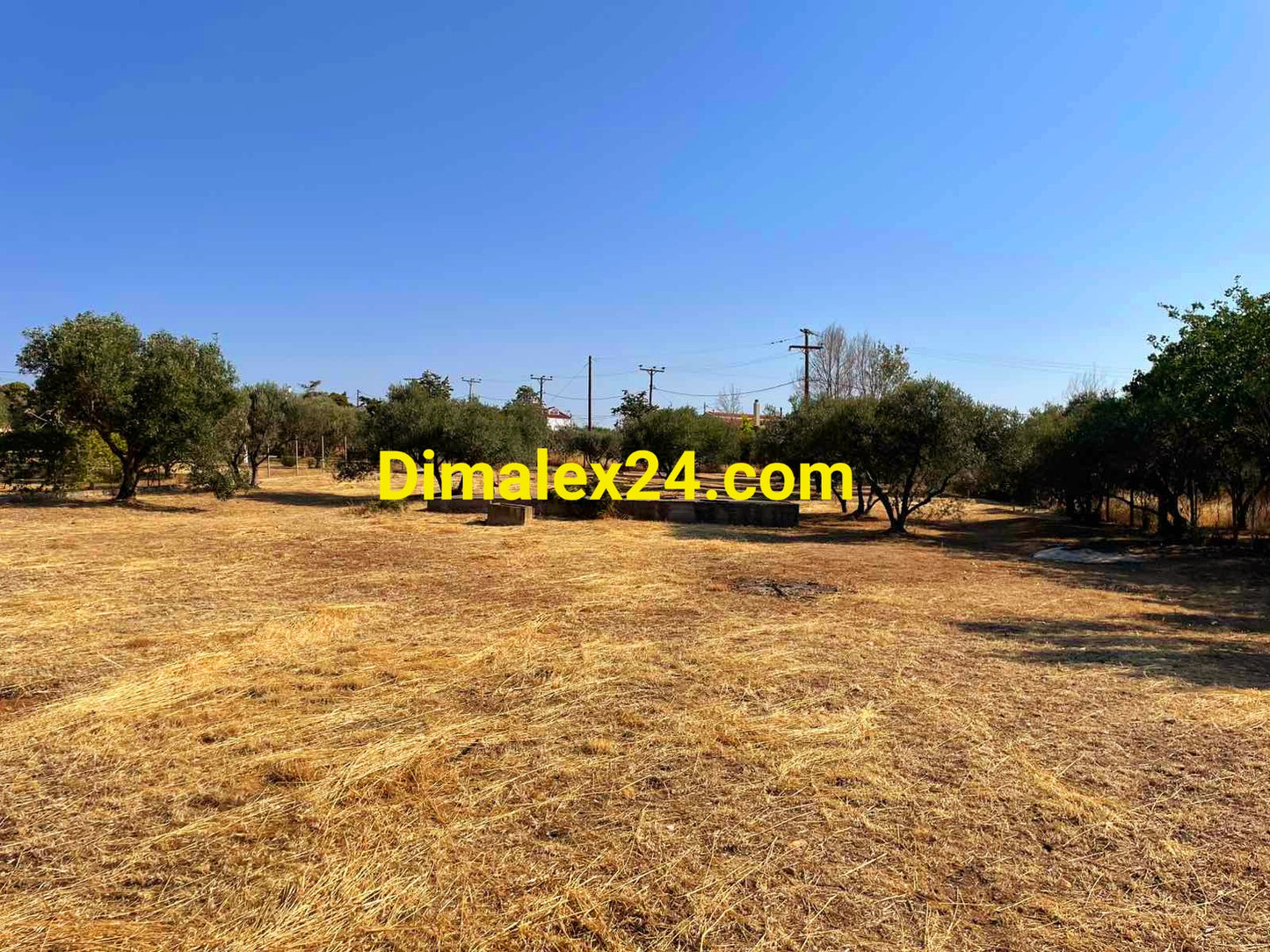 N.108 Plot in Greece, Region of Rhodope, Almiros