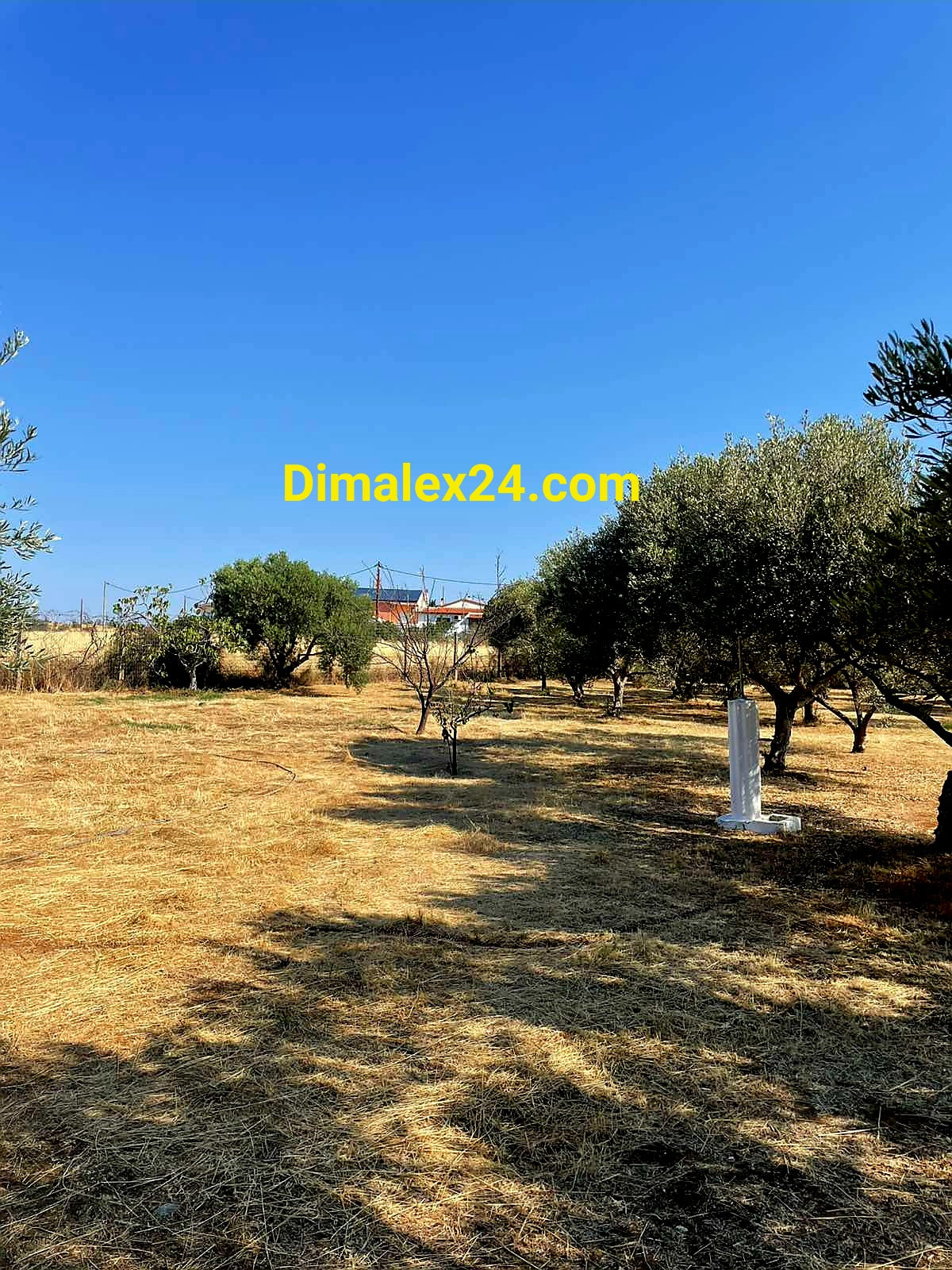 N.109 House in Greece, Rodopi region, Almiros