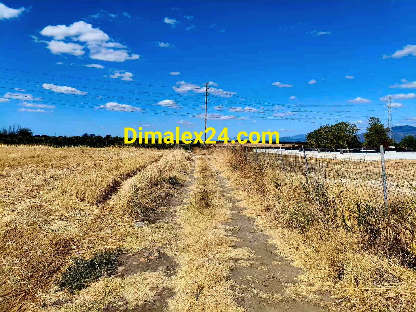 Черен път в парцел с площ от 7500 кв.м. в Космио, област Родопи.