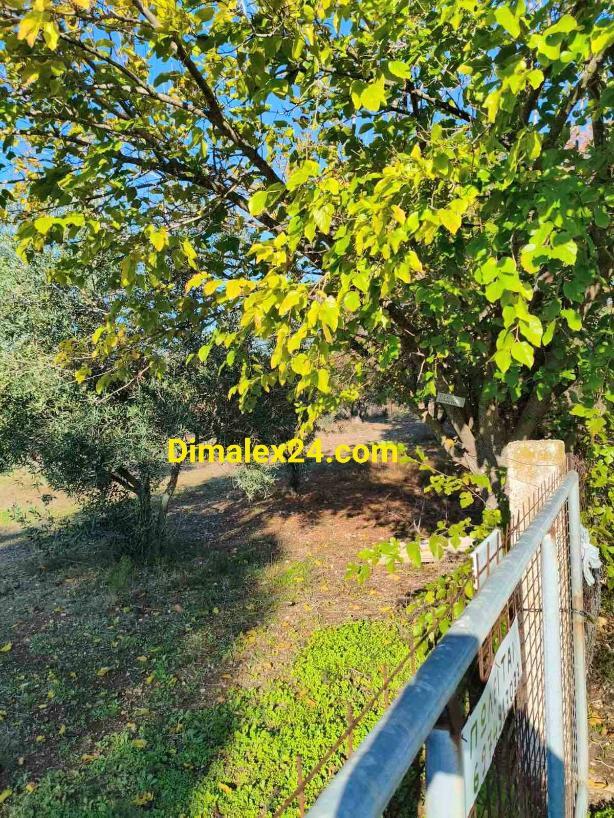 Инвестиционен парцел в Ампелакия, област Родопи — на 130 м. от морето с голям инвестициоен потенциал.