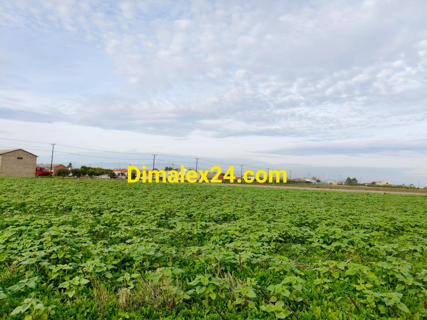 Парцел на 40 км. от границата с България,област Родопи,Имерос.