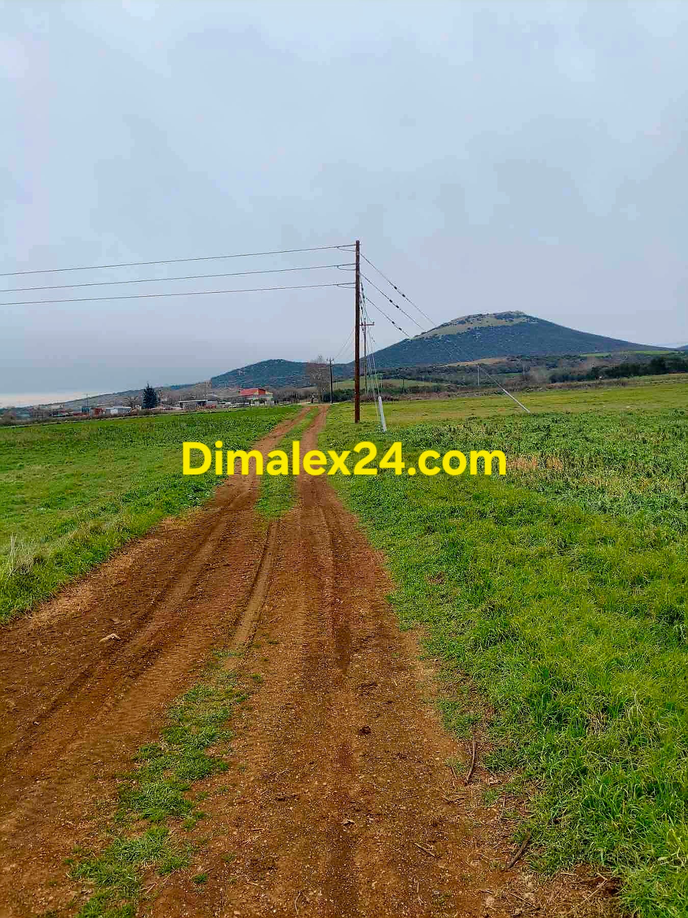 Просторен парцел в землището между селата Проскинитес и Ксилагани на 2 км. от морето с черен път до него.Северна Гърция, област Родопи.