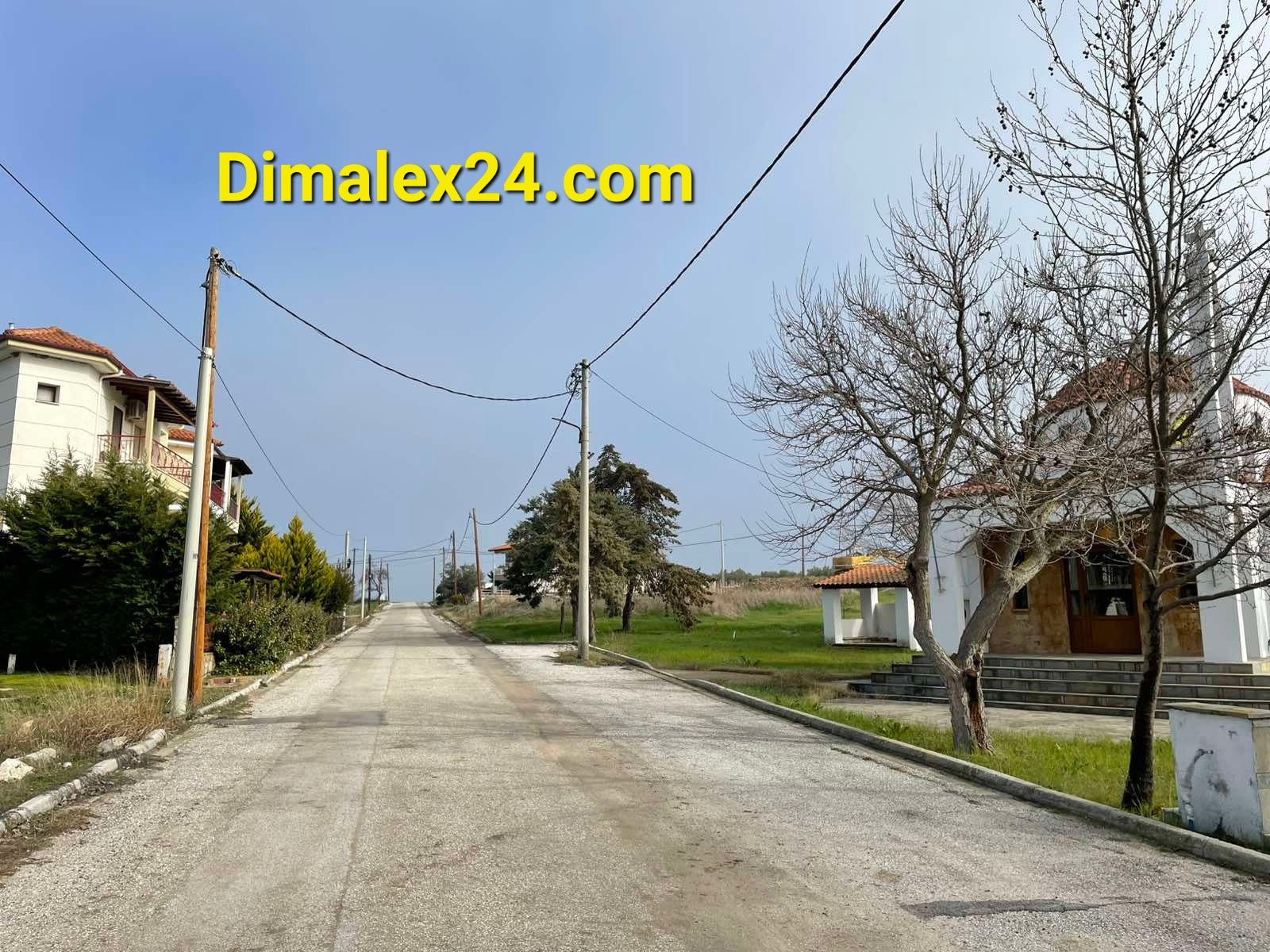 Peaceful street view in Fanari, Northern Greece, showcasing trees and empty road.