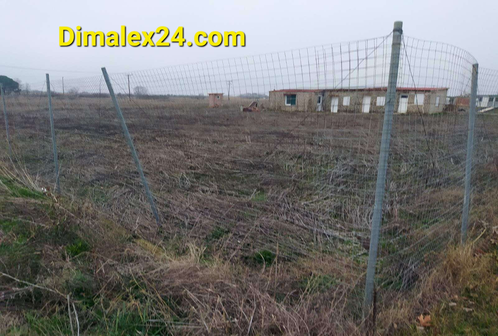 Fenced plot of land with overgrown vegetation and an unfinished building in Northern Greece.