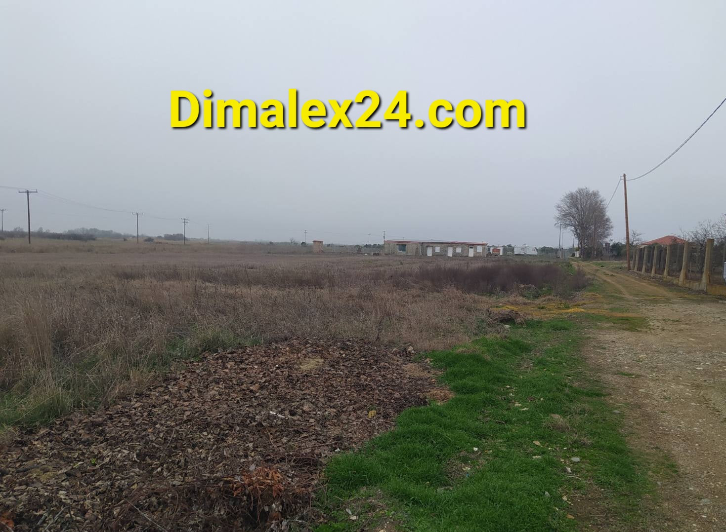 Vacant land with overgrown grass and a dirt road, showcasing a rural setting in Northern Greece.