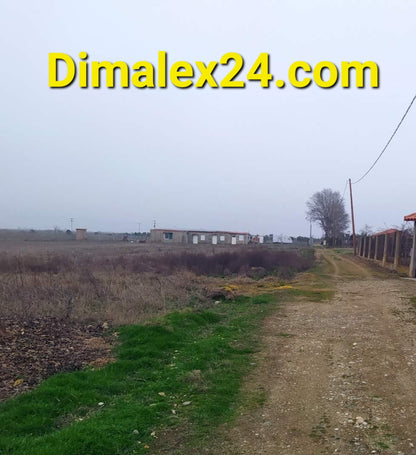 View of a dirt road leading to a property under construction in a rural setting.