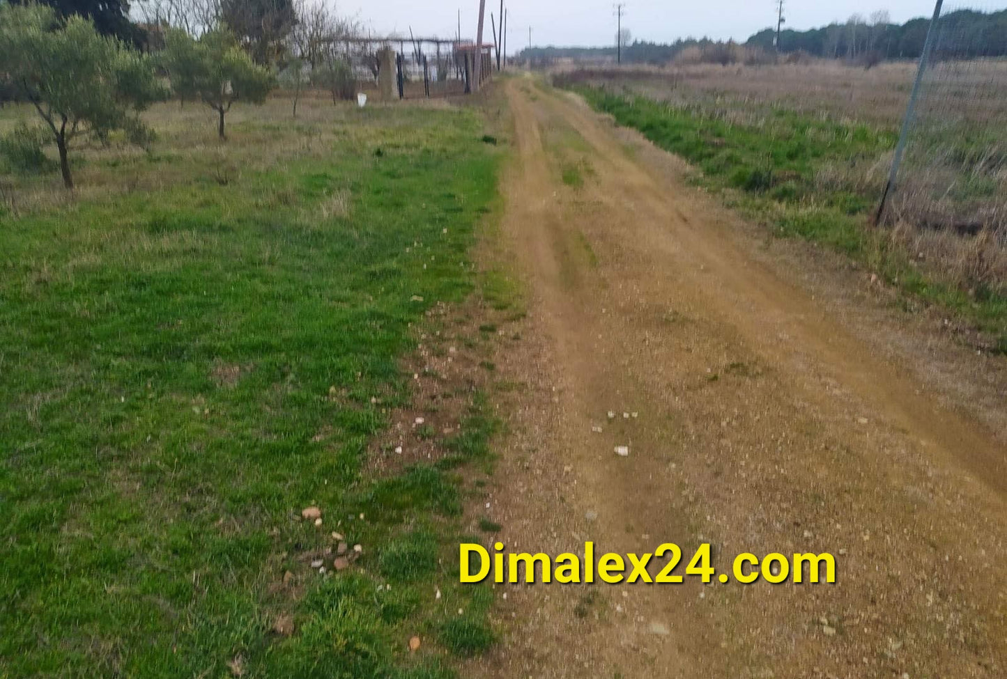 Grassy path leading through rural area, showcasing natural scenery and serene landscape.