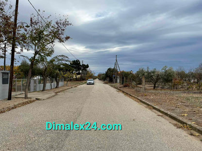 Asphalt road in a quiet area of Northern Greece, lined with trees and properties.