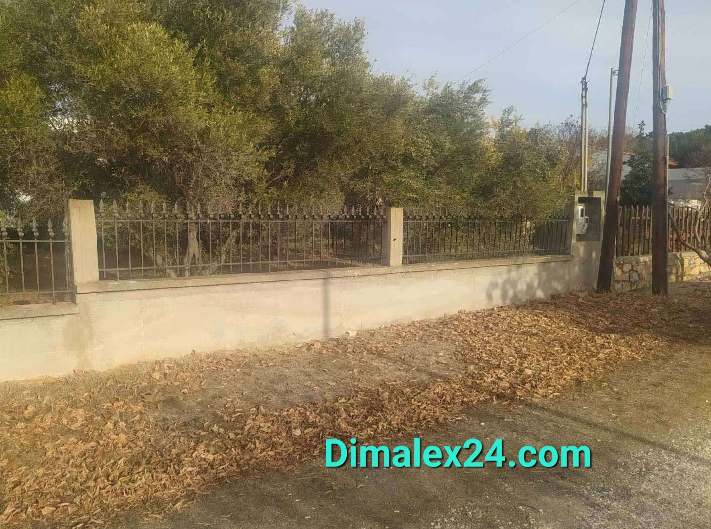 View of a property boundary with a fence, surrounded by trees and fallen leaves in northern Greece.