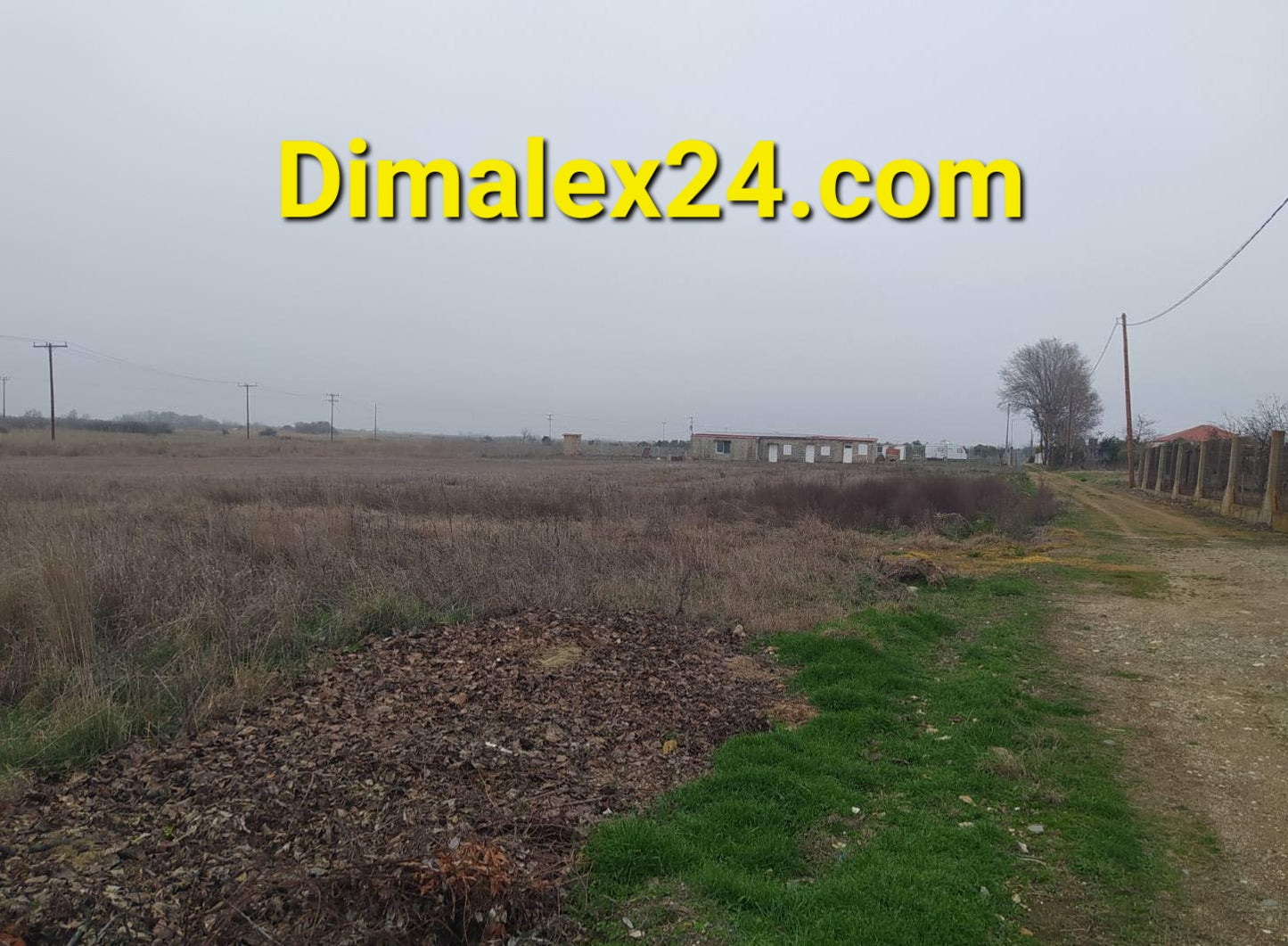 Landscape view of a rural area with overgrown grass and distant buildings in Northern Greece.