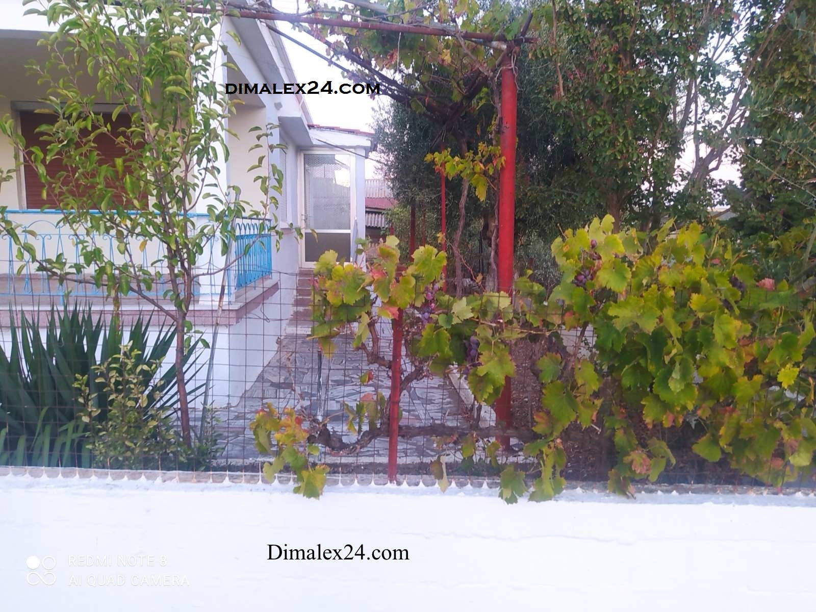 View of a cozy house in Ksilagani, Greece, featuring a garden with grapevines and lush greenery.