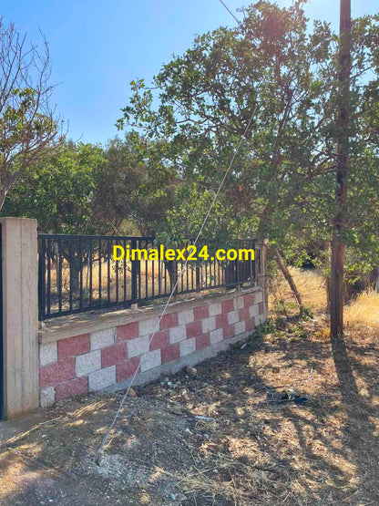 N.108 Plot in Greece, Region of Rhodope, Almiros