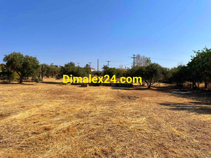 N.108 Plot in Greece, Region of Rhodope, Almiros