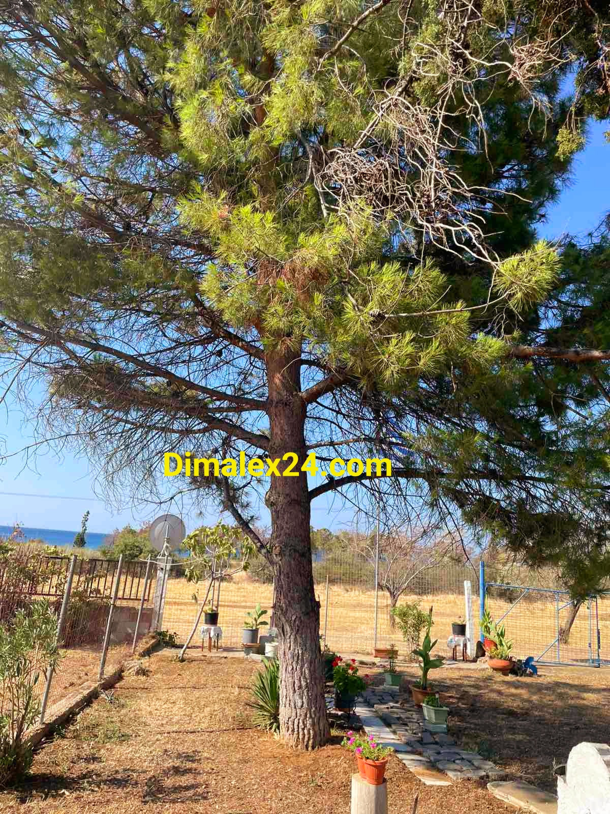 N.109 House in Greece, Rodopi region, Almiros