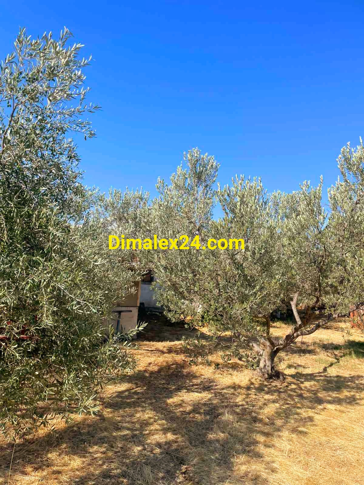 N.109 House in Greece, Rodopi region, Almiros