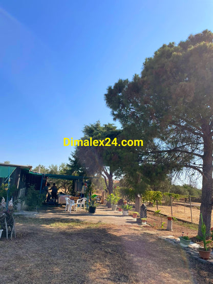 N.109 House in Greece, Rodopi region, Almiros