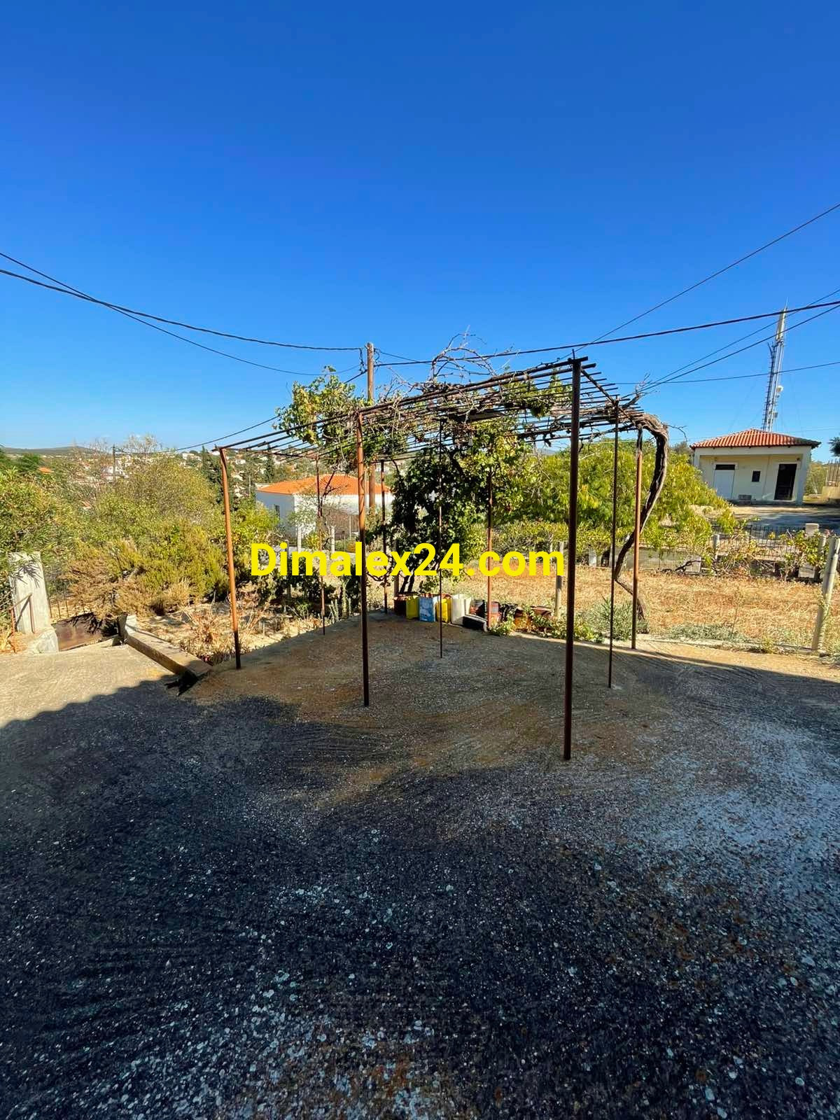 Бетонова площадка с асма в дворна на къща в Проскинитес, Гърция.