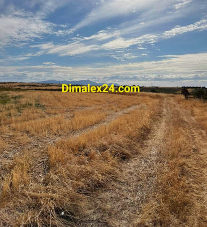 Панорамна гледка към парцел в Имерос, област Родопи.
