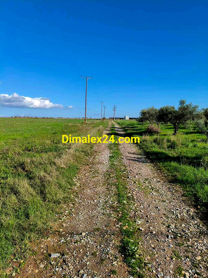 Черен път водещ до парцел с площ 2000 кв.м. и на 980 м. от морекия браг - имот в Имерос, Северна Гърция, област Родопи.