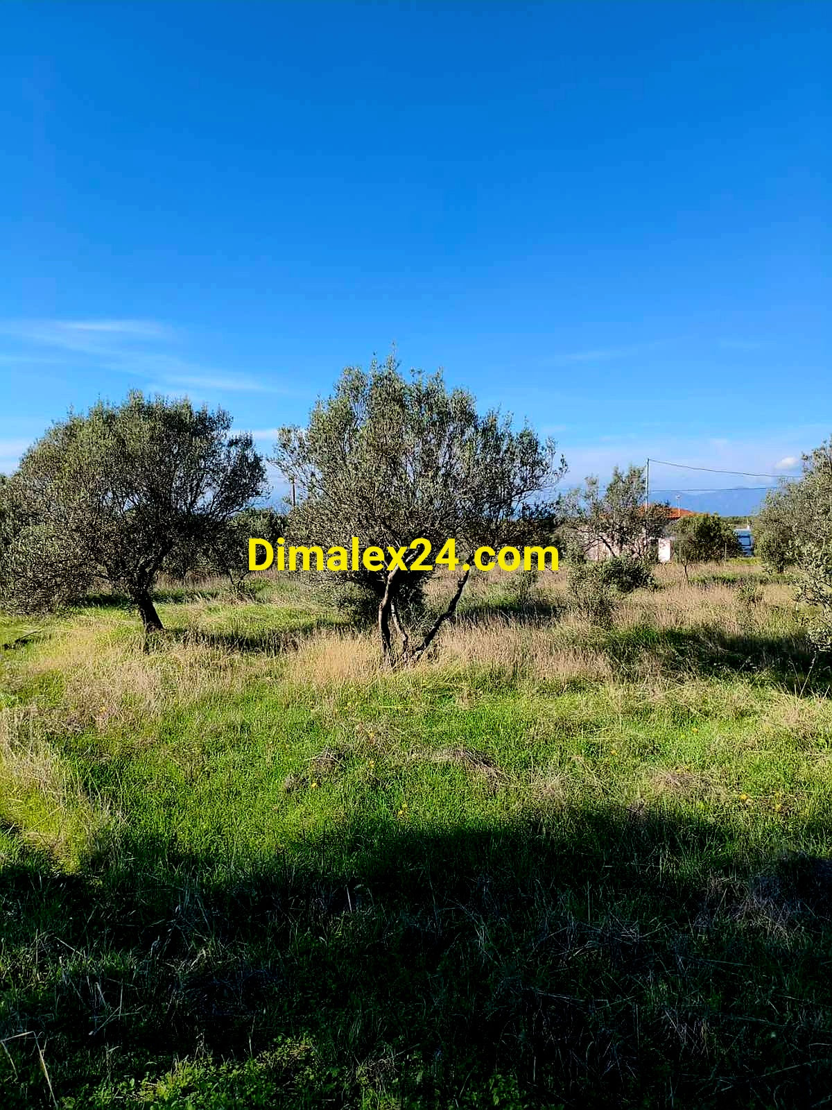 Имот в Имерос – 1000 метра от плажа, подходящ за строителство.