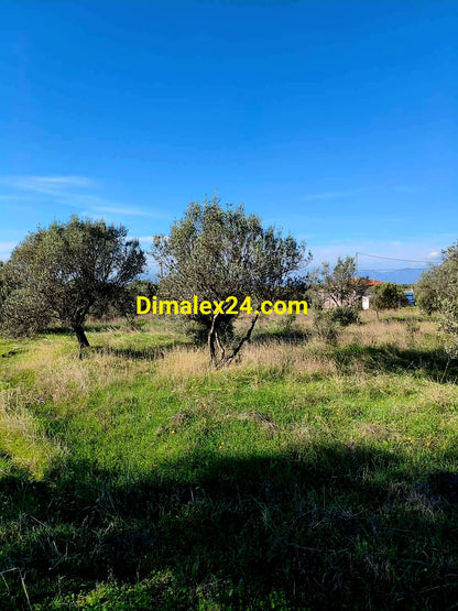 Имот в Имерос – 1000 метра от плажа, подходящ за строителство.