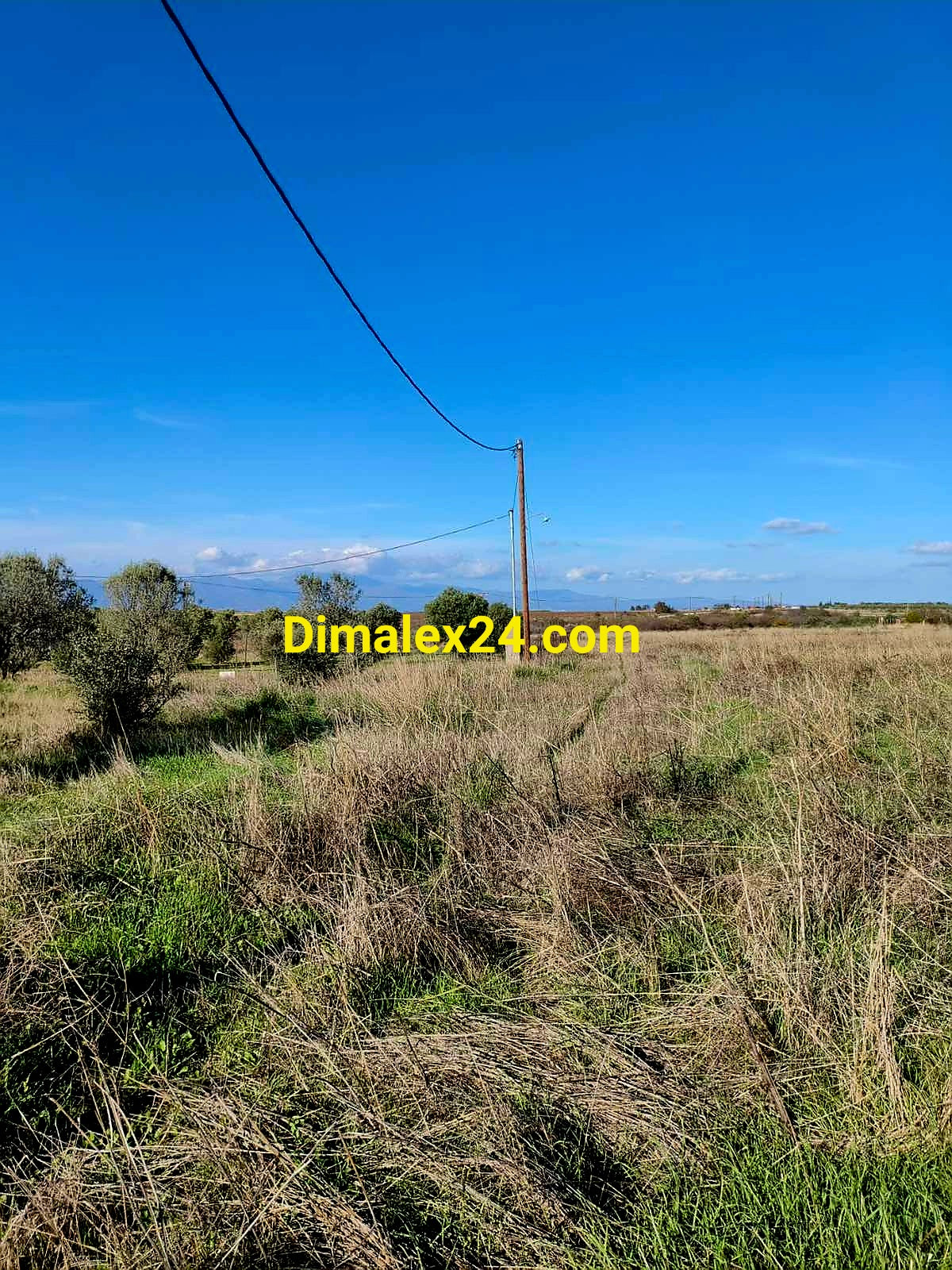 Парцел в Северна Гърция с маслинови дръвчета и инвестиционен потенциал.