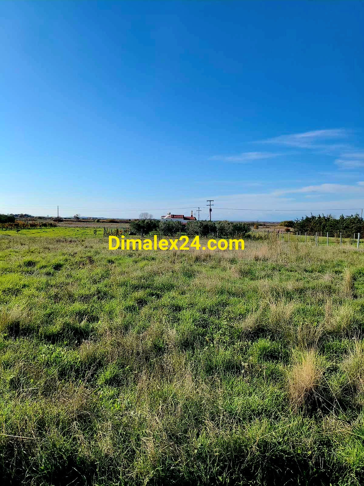 Инвестиционен парцел в Имерос, област Родопи — спокойна околност.