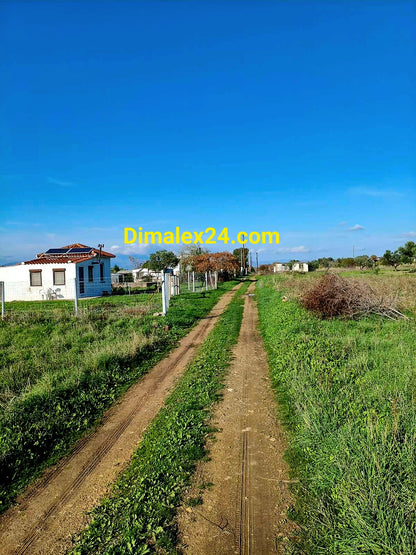 Терен на 800 м от морето в Имерос, Северна Гърция.