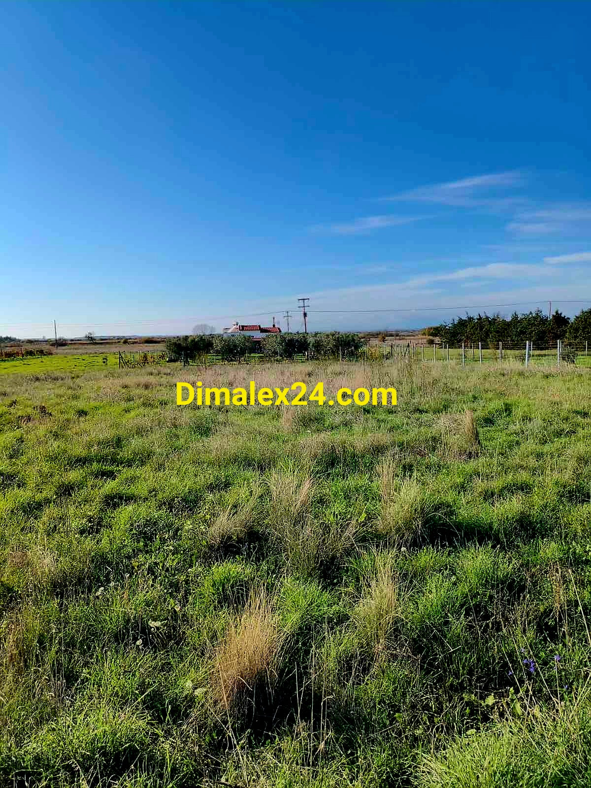 Парцел 2000 кв.м близо до плажа в Имерос — изглед към имота.