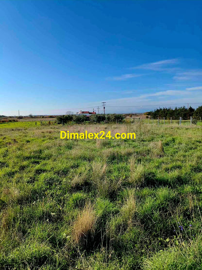 Парцел 2000 кв.м близо до плажа в Имерос — изглед към имота.