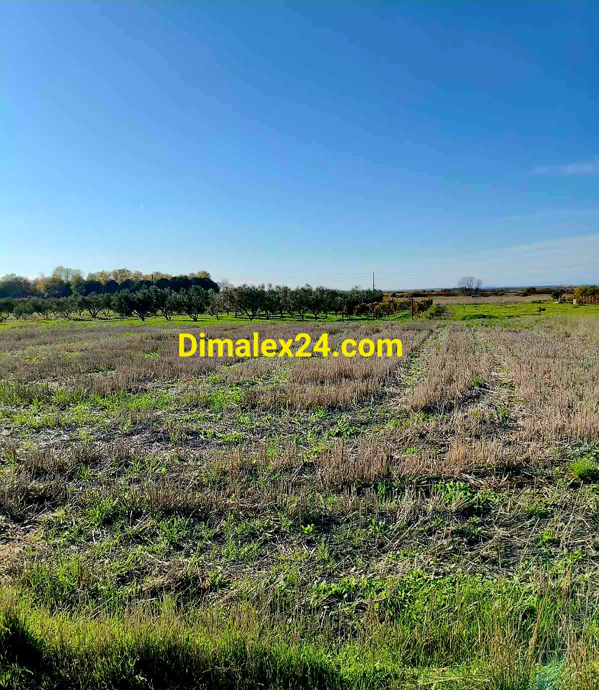 Имот за сглобяема къща или бунгала близо до морето в Имерос.