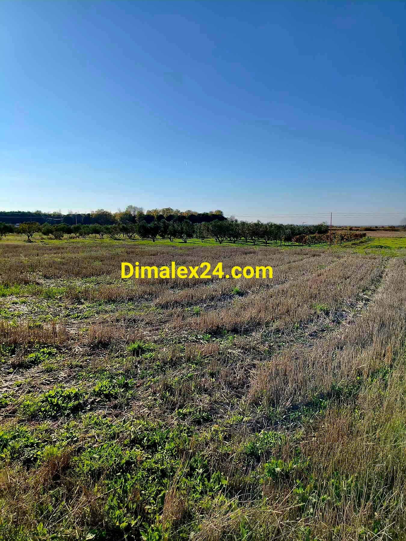 Инвестиционен парцел в Имерос — подходящ за каравана или кемпер.