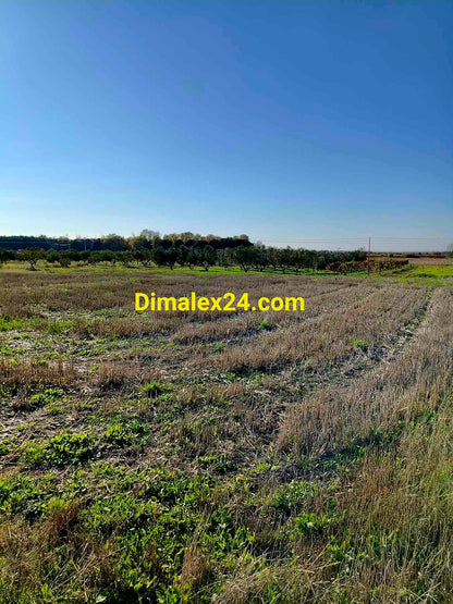 Инвестиционен парцел в Имерос — подходящ за каравана или кемпер.