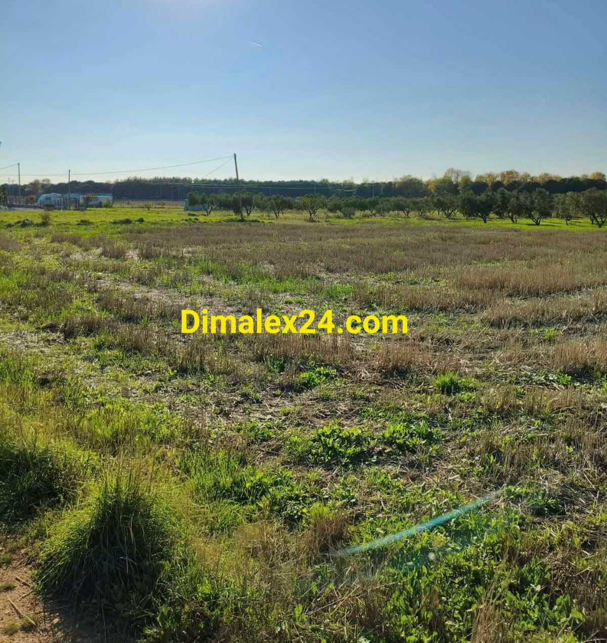 Парцел 2000 кв.м в Имерос, Северна Гърция — 780 м от плажа.