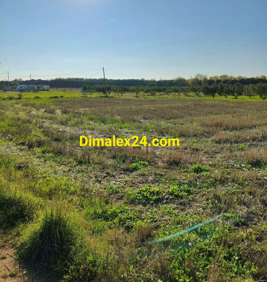 Парцел 2000 кв.м в Имерос, Северна Гърция — 780 м от плажа.