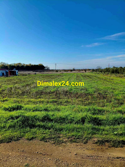 Парцел 2000 кв.м в Имерос, Северна Гърция — на 700 м от морето.