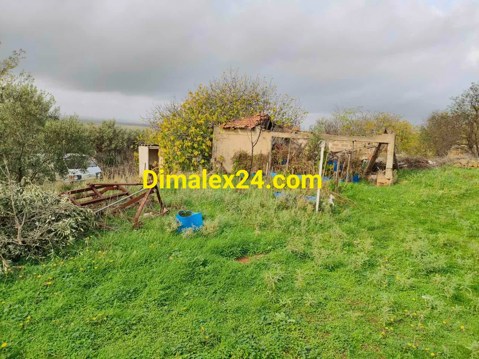 Имот с възможност за строеж и стари постройки в Ксилагани.