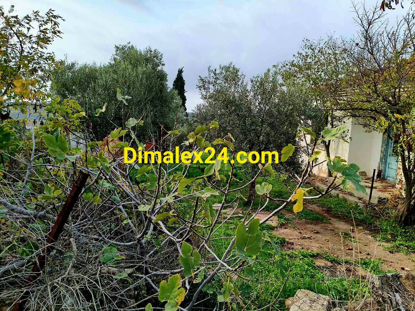 Парцел в Ксилагани,родопи на 6 км от морето.