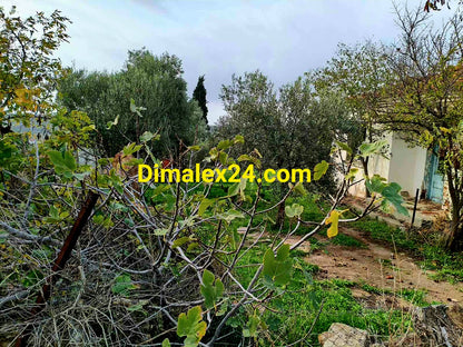 Парцел в Ксилагани,родопи на 6 км от морето.