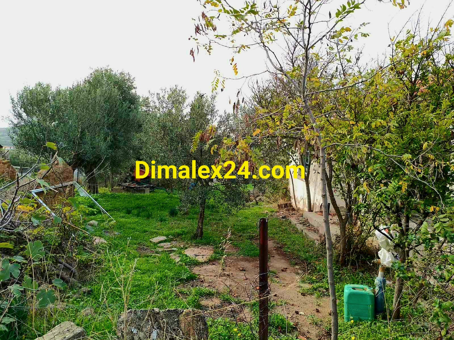 Парцел с потенциал за развитие в Гърция на 40 км от ГКПП Маказа.