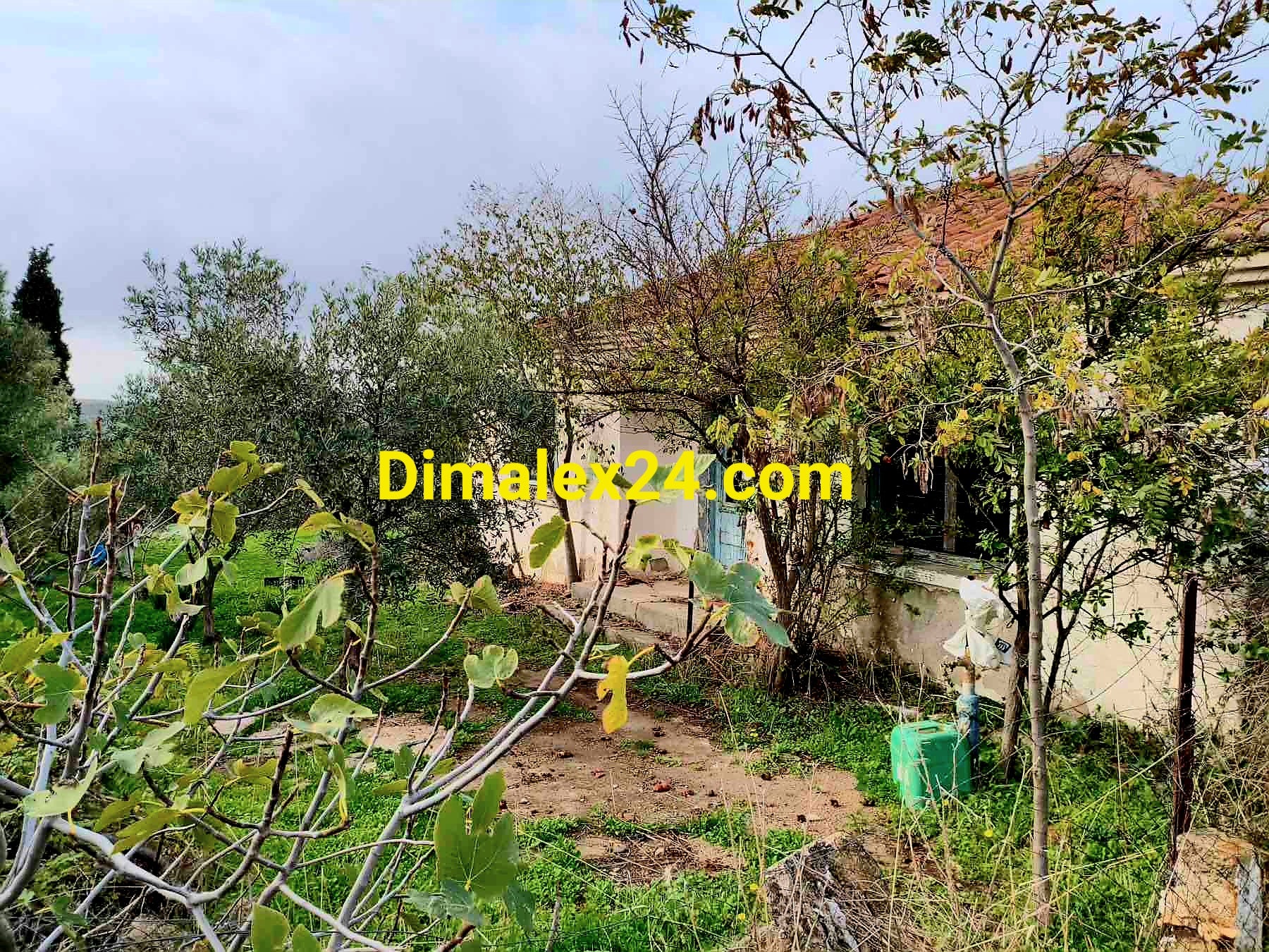 Парцел с възможност за строеж и развитие на 40 км от границата с България.