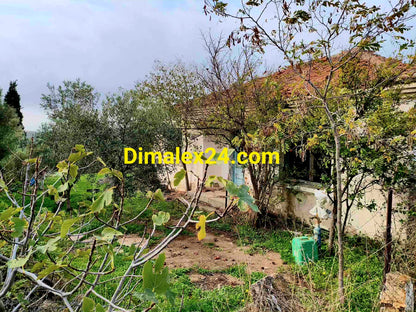 Парцел с възможност за строеж и развитие на 40 км от границата с България.