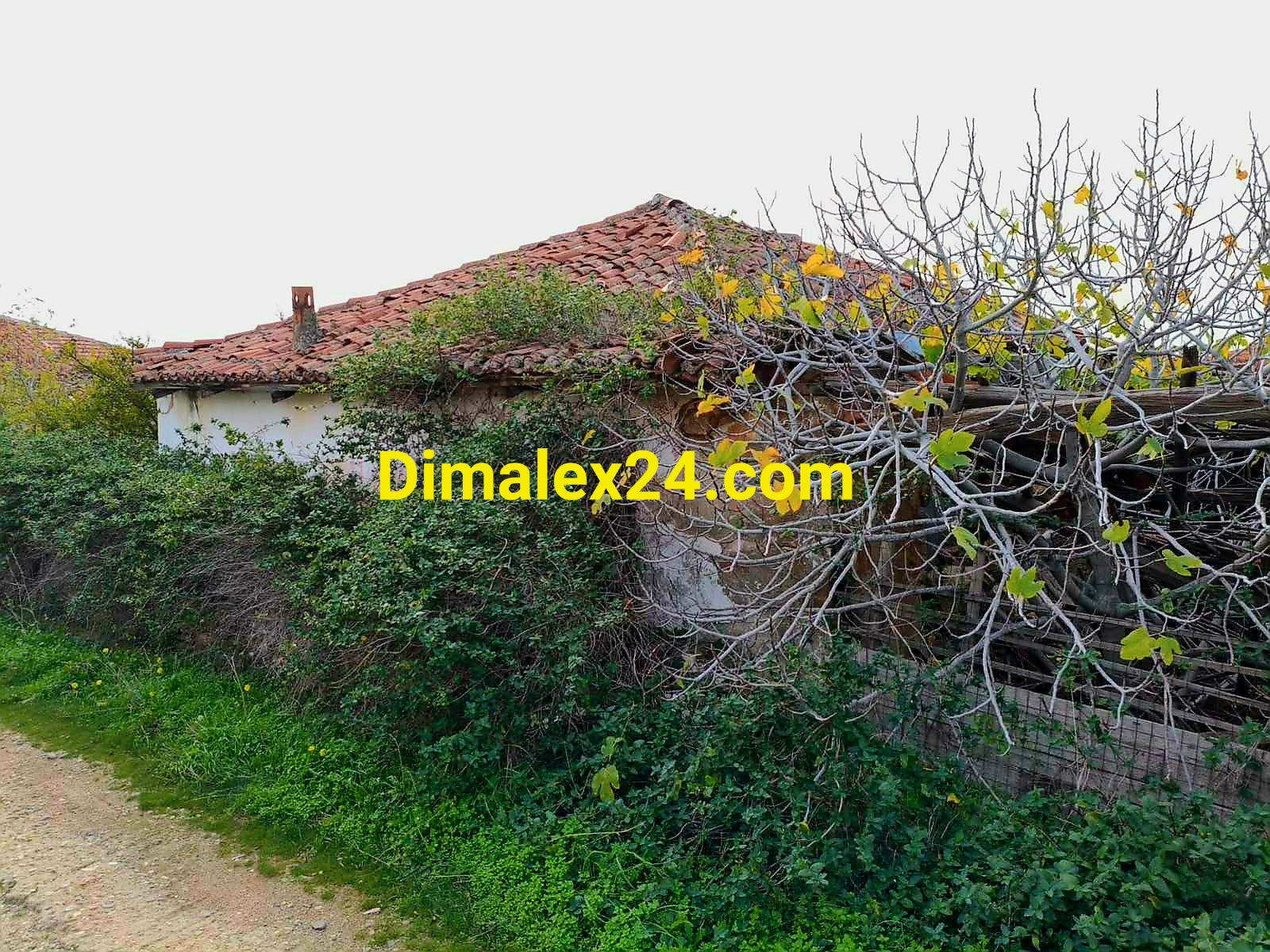 Парцел 1000 кв.м в Ксилагани близо до морето — инвестиционен имот. На 6 км от морето и на 40 км от Границата с България.