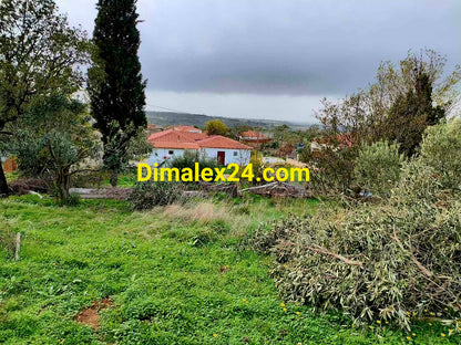 Парцел 1000 кв.м в Ксилагани близо до морето — инвестиционен имот.