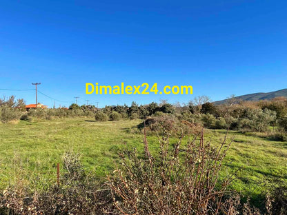 Инвестиционен парцел в Платанитис с ток и вода.Северна Гърция, област Родопи.