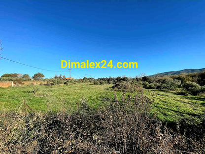 Парцел подходящ за сглобяеми къщи и бунгала в Платанитис,област Родопи,Северна Гърция.