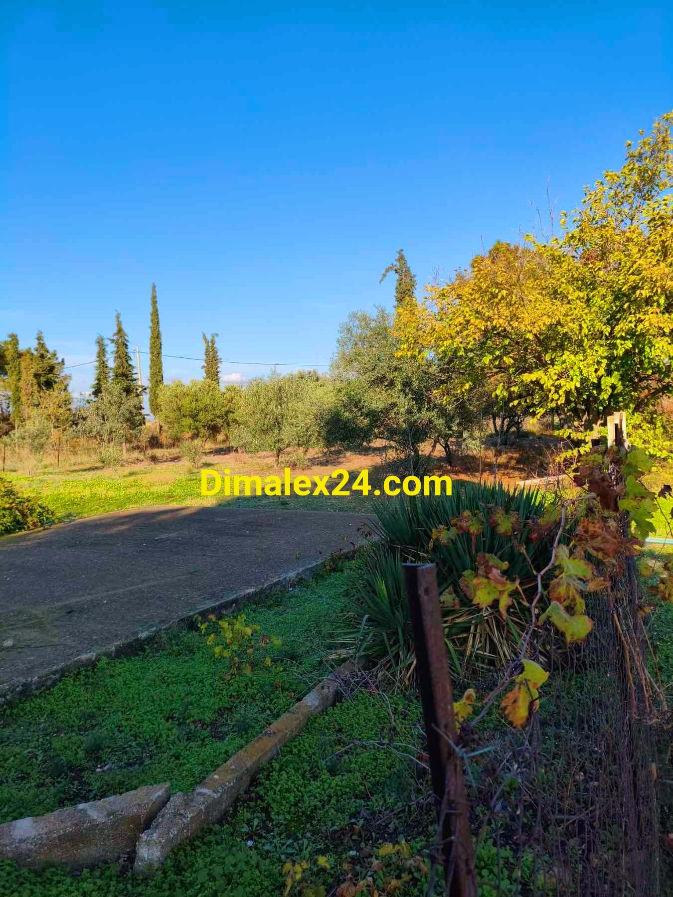 Парцел 2000 кв.м в Ампелакия — само на 130 метра от плажа, област Родопи, Гърция.