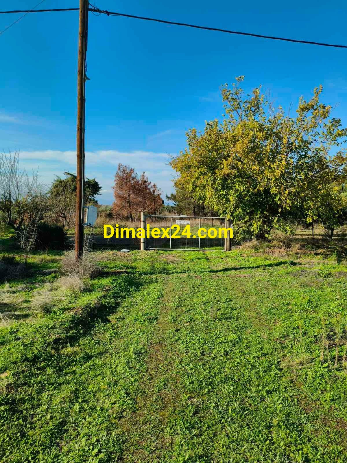 Ограден имот в Северна Гърция, подходящ за сглобяема къща или бунгала, Ампелакия,област Родопи.