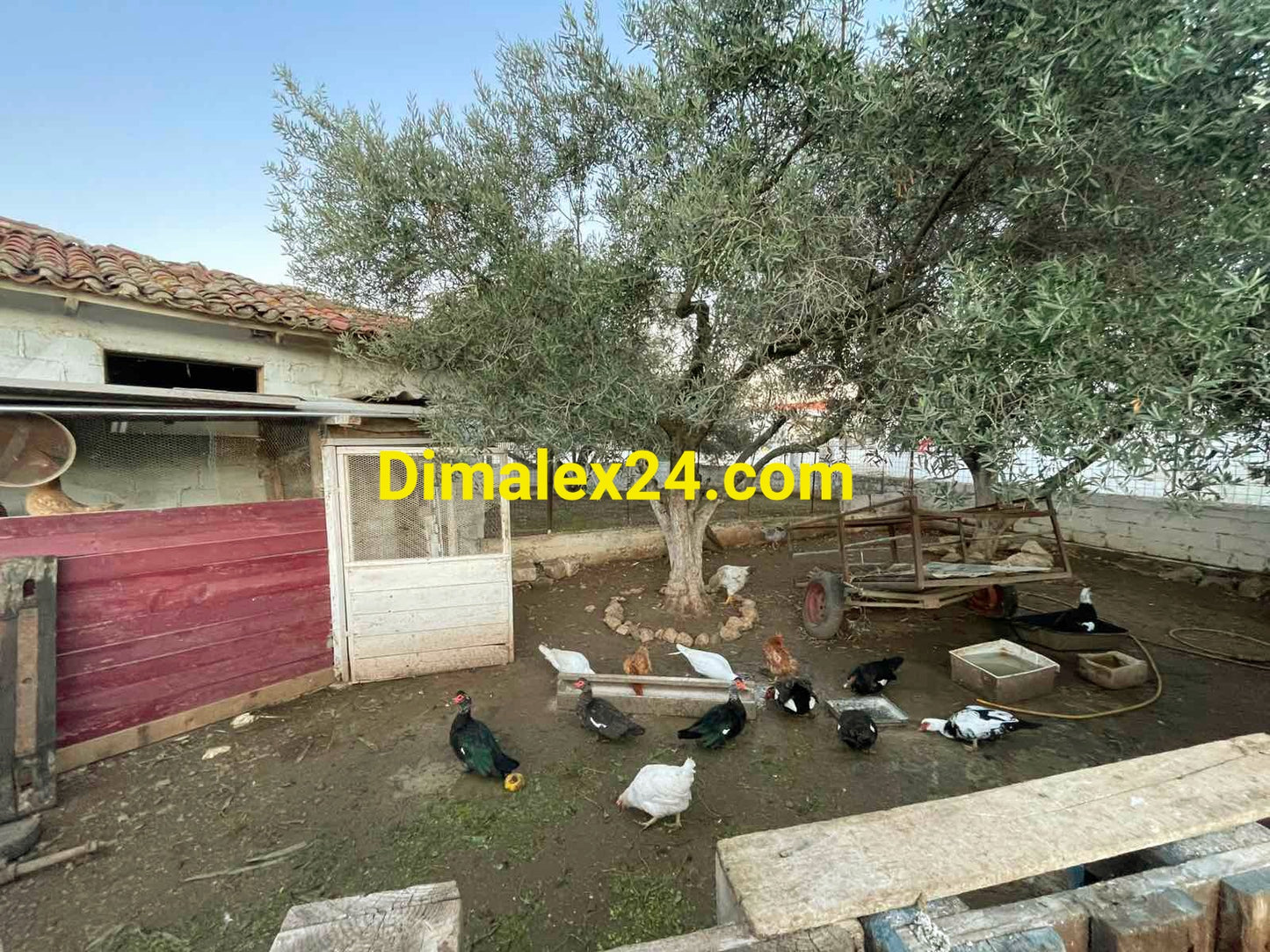 Парцел в къща за ренувация в центърна на село Ксилагани, област Родопи,Северна гърция на 6 км. от морето.