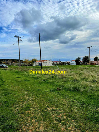 Парцел в Крионери,област Родопи, 8200 кв.м. на 580 м. от плажа на Крионери.